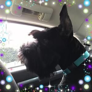 Meet your Posher, Trudy